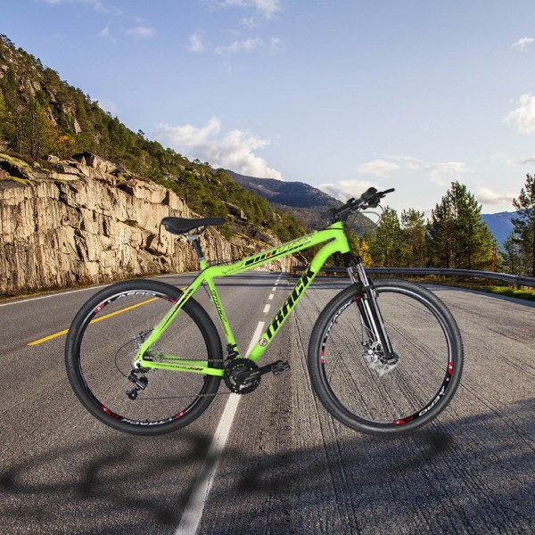 Bicicleta Track TKS29" 21 Vel. Verde (TKS29VN)
